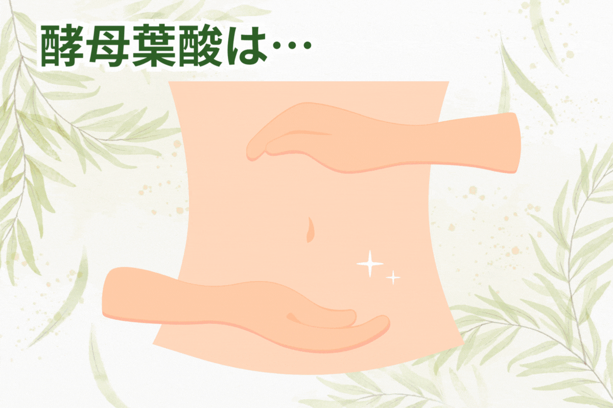 ランキング