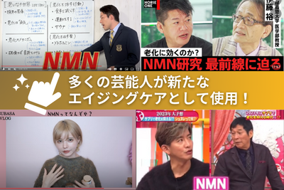 NMN 寝たきり