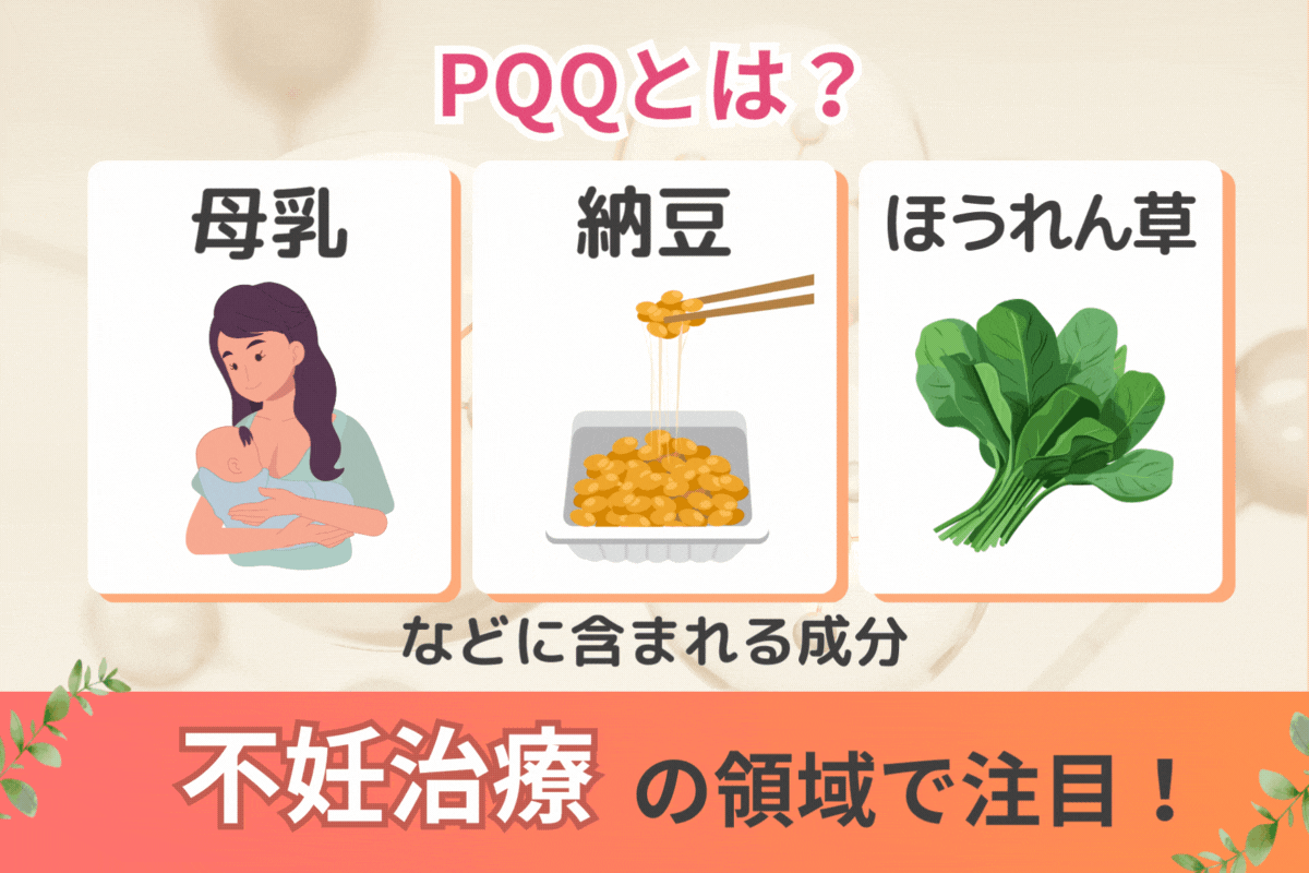 ランキング